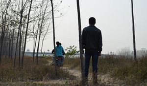 Youth Novel