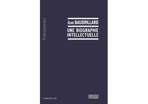 Jean Baudrillard une biographie intellectuelle