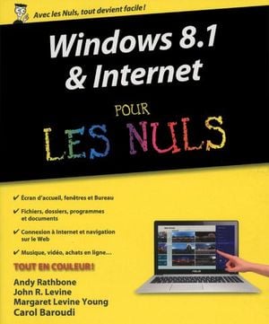 Windows 8.1 et Internet pour les nuls