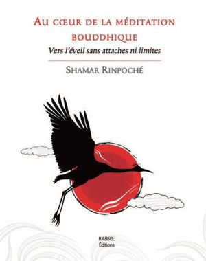 Au coeur de la méditation bouddhique