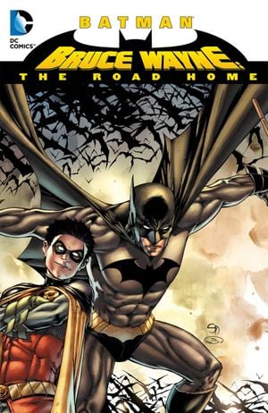 Bruce Wayne: The Road Home