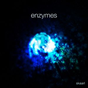 Enzymes (Single)