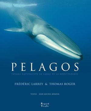 Pelagos voyage naturaliste au large de la mediterranee