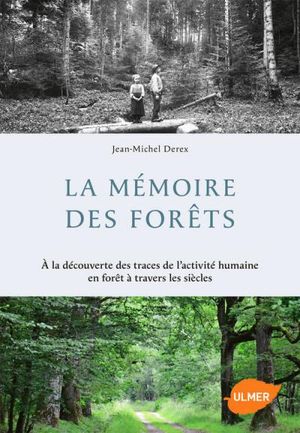 La mémoire des forêts