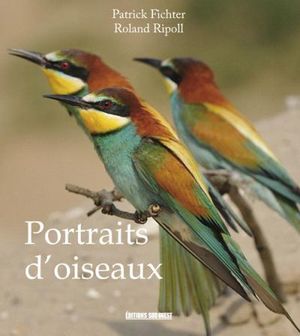 Portraits d'oiseaux