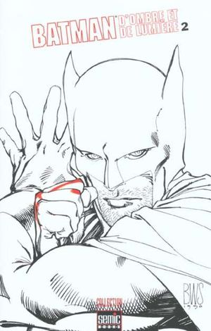 Batman : D'ombre et de lumière, tome 2