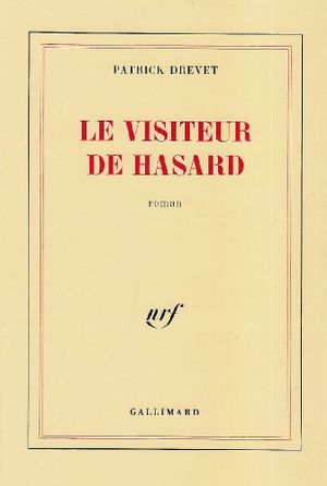 Le visiteur de hasard