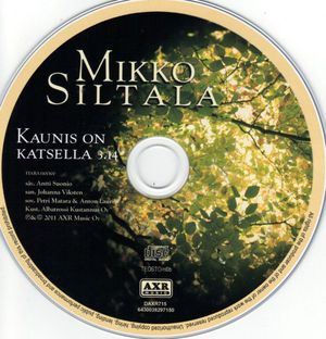 Kaunis on katsella (Single)