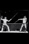 Fencing