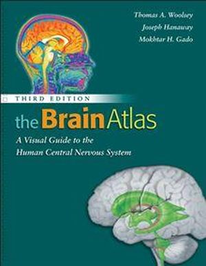 The Brain Atlas