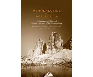 Hermeneutics and Reflection
