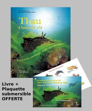 Thau, oasis de vie