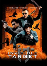 Invisible_Target.png