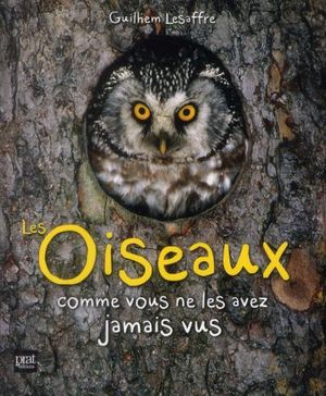 Les oiseaux comme vous ne les avez jamais vus