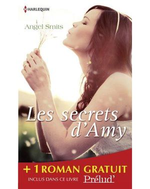 Les secrets d'Amy,  Les lumières de Noël
