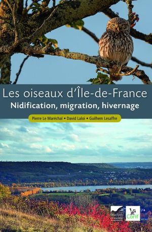 Les oiseaux d'Ile-de-France