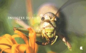 Insectes du sud