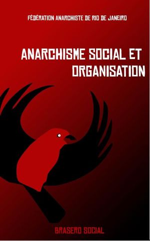 Anarchisme social et organisation