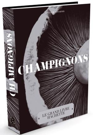 Les champignons