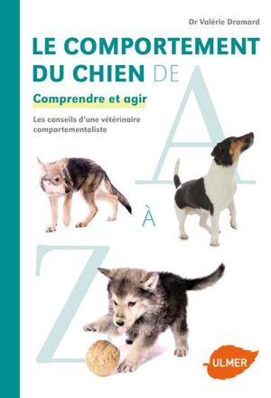 Comportement du chien de A à Z