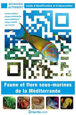 Découvrir autrement faune et flore sous-marines de la Méditerranée