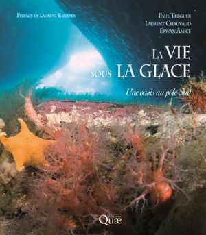 La vie sous la glace