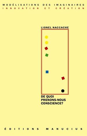 De quoi prenons-nous conscience ?