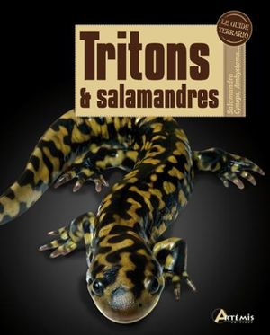 Tritons et salamandres