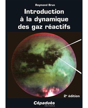 Introduction à la dynamique des gaz réactifs