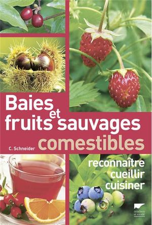 Baies et fruits sauvages comestibles