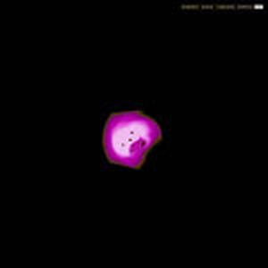 Square (Single)