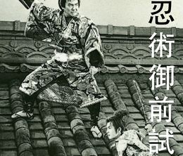 image-https://media.senscritique.com/media/000006305376/0/torawakamaru_the_koga_ninja.jpg