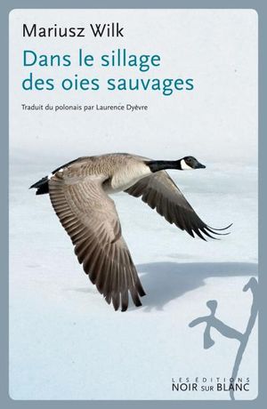 Dans le sillage des oies sauvages