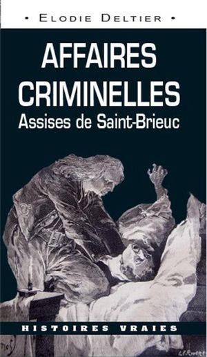 Affaires criminelles : assises de Saint-Brieuc