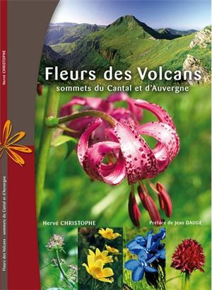 Fleurs des volcans