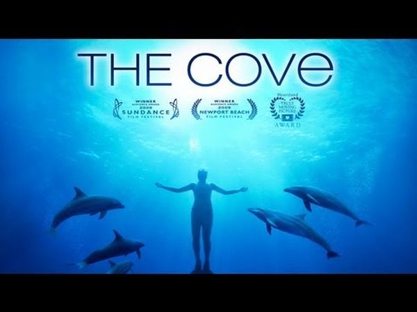 The Cove : La Baie de la honte