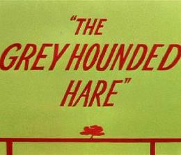 image-https://media.senscritique.com/media/000006327574/0/the_grey_hounded_hare.jpg