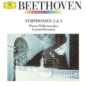 Symphony No. 2 in D major, Op. 36: II. Larghetto
