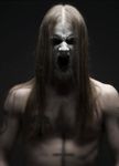 Taake