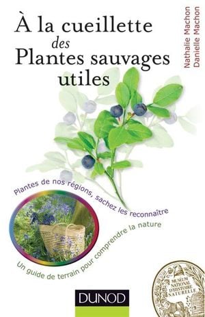 A la cueillette des plantes sauvages utiles