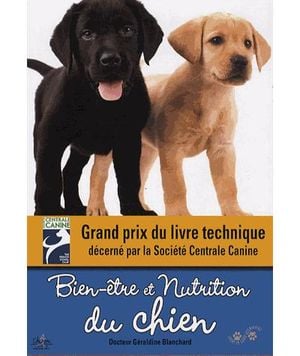 Bien-être et nutrition du chien : quels aliments, quelles rations en fonction de la taille et de l'âge