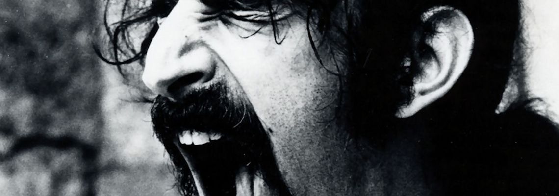 Cover Frank zappa live: does humour belong in music ?