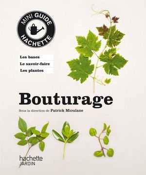 Bouturage