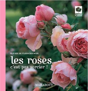 Choisir et prendre soin de ses roses