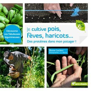 Je cultive pois, fèves, haricots... : des protéines dans mon potager