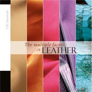 The multiple states of leather