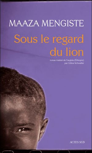 Sous le regard du lion