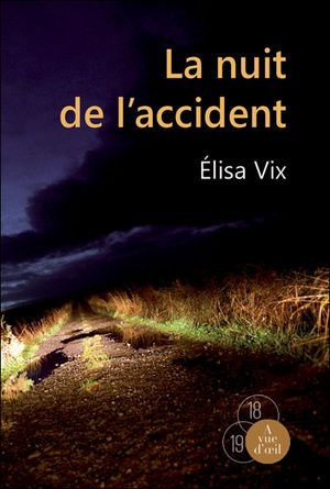 La nuit de l'accident