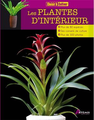 Les plantes d'intérieur