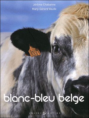 Blanc-bleu belge